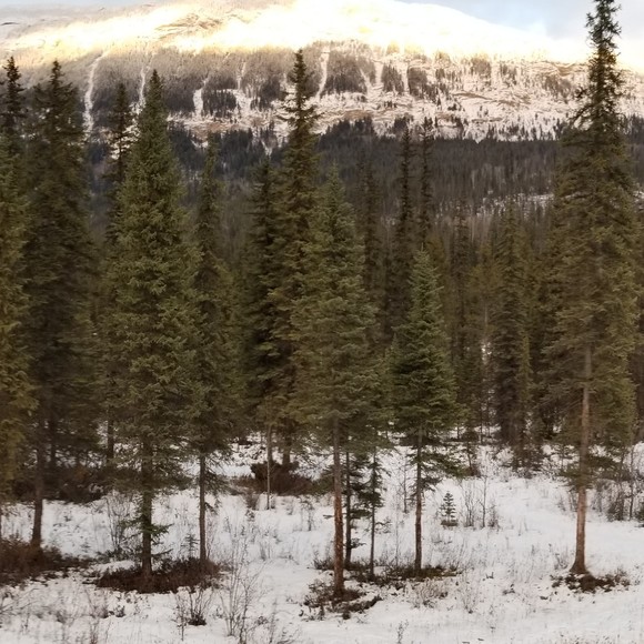 Meet your Posher, Joel - Picture 1 of 1